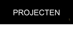 Projecten